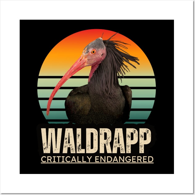 Waldrapp is an endangered specie Wall Art by TRACHLUIM